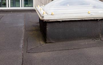 disadvantages of Bowthorpe flat roofs