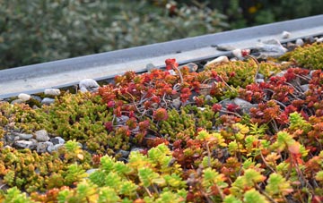 the cost of Bowthorpe green roof installation