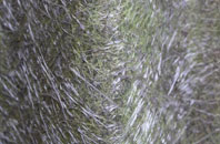 Bowthorpe fibreglass roof work